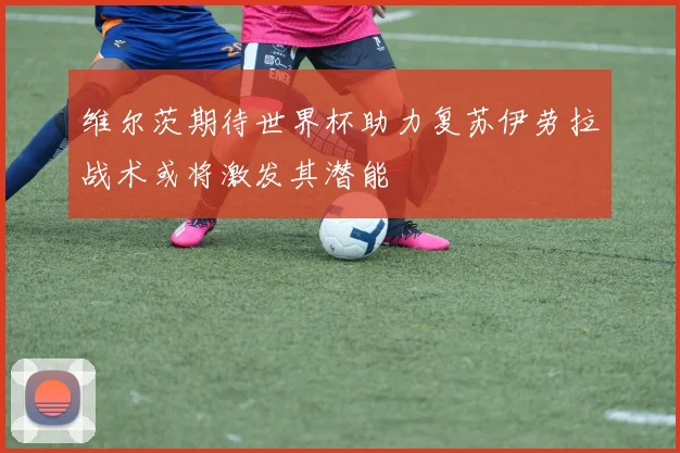 维尔茨期待世界杯助力复苏伊劳拉战术或将激发其潜能